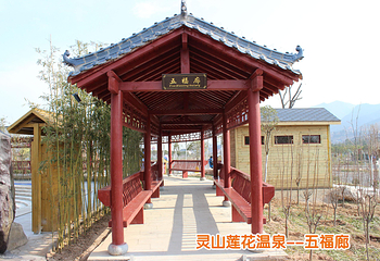 灵山莲花温泉度假区第 20 张图片