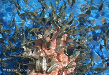 天悦湾温泉第 4 张图片