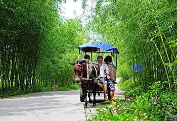 重渡沟风景区第 17 张图片
