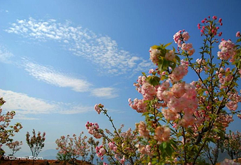 泉州·南安·仙境天柱山旅游度假区第 3 张图片