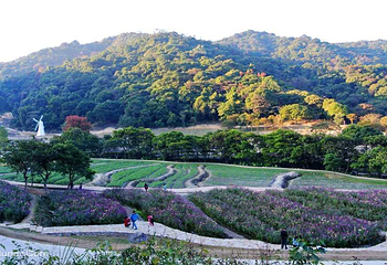 星罗纪大森林景区(广州二龙山花园)第 10 张图片