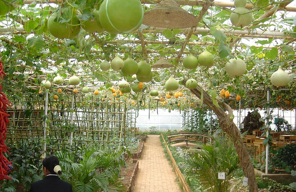 深圳碧岭山庄深圳碧岭山庄农家乐成人票