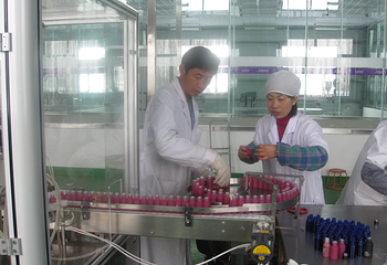 伊帕尔汗薰衣草观光园第 36 张图片