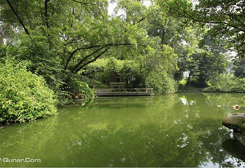中国科学院华南国家植物园第 2 张图片