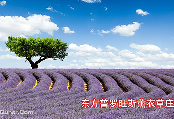 北京游览年票第 4 张图片