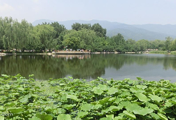 国家植物园南园第 9 张图片