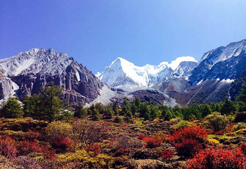 杜鹃谷温泉山庄第 9 张图片