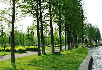 湘家荡月亮湾沙滩第 6 张图片