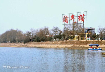 淘气猫海洋馆第 1 张图片
