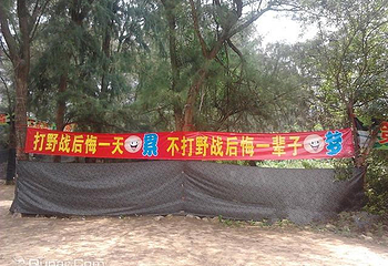 深圳市狼道野战拓展基地第 4 张图片
