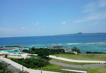 冲绳美丽海水族馆第 10 张图片