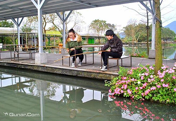 胜洋休闲农场第 4 张图片