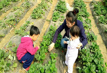 爱有机永安农场第 5 张图片