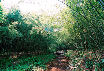 重渡沟风景区第 7 张图片
