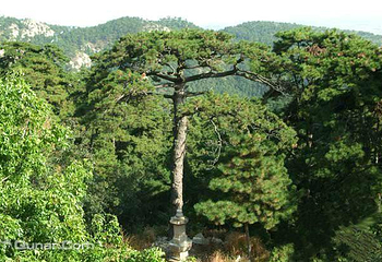 辽宁医巫闾山国家森林公园第 14 张图片