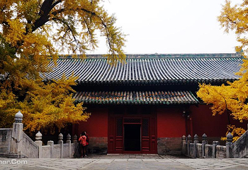 大觉寺第 23 张图片