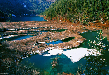 九寨沟风景区第 85 张图片