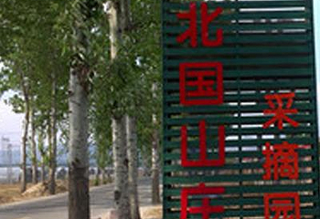 北京傲爵商贸有限公司北国山庄分公司第 2 张图片