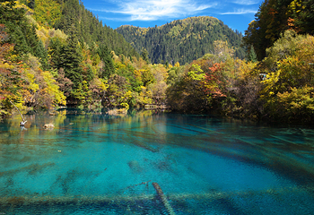 九寨沟风景区第 38 张图片