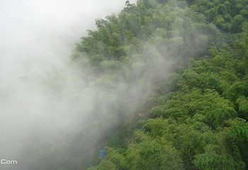缙云山第 2 张图片