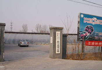 北京兴寿天成种植园第 2 张图片