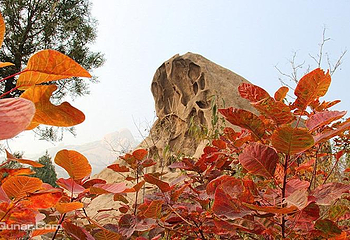 北京后花园(白虎涧)风景区第 2 张图片
