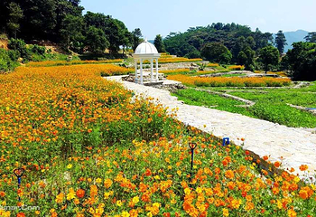 星罗纪大森林景区(广州二龙山花园)第 7 张图片