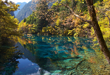 九寨沟风景区第 46 张图片