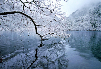 九寨沟风景区第 73 张图片