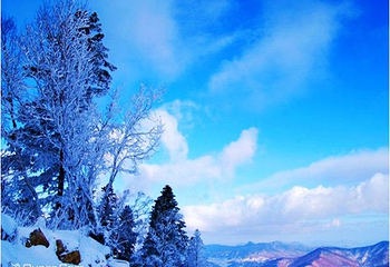 中旅松花湖度假区第 16 张图片
