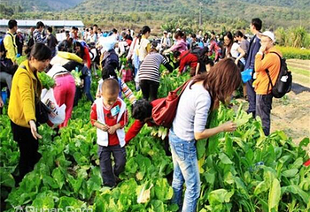 强兴农趣园第 3 张图片