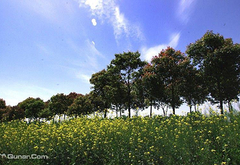苏州西山洞庭假日农庄第 6 张图片