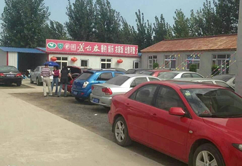 七里河诚真河蟹垂钓采摘园第 3 张图片