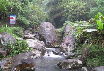 新丰江国家森林公园桂山风景区第 21 张图片