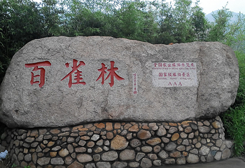 百雀林观光园第 14 张图片