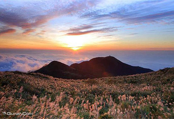 阳明山山顶餐厅第 4 张图片