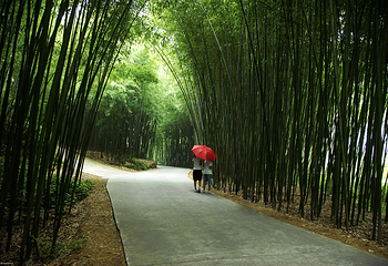 重渡沟风景区第 5 张图片