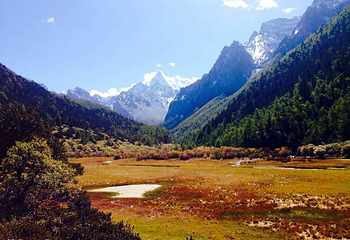 杜鹃谷温泉山庄第 22 张图片