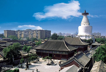 白塔寺第 11 张图片