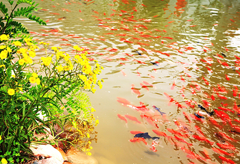 沙河市桃花源风景区第 5 张图片