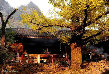山里人家·鹿野湾森林牧场第 4 张图片