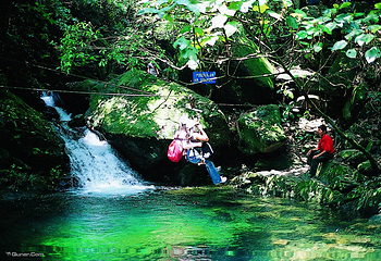千谷溪森林公园第 2 张图片