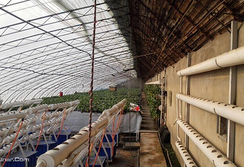 北京兴寿天成种植园第 5 张图片