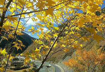 杜鹃谷温泉山庄第 5 张图片