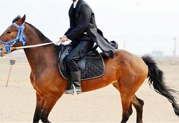 汇川马术俱乐部 第 2 张图片