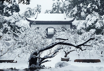 超山风景名胜区第 2 张图片
