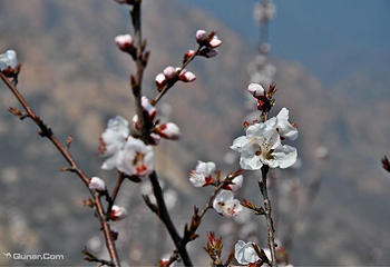 北京后花园(白虎涧)风景区第 5 张图片