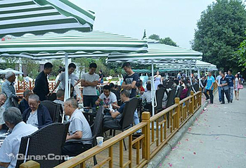 田园居生态园第 9 张图片