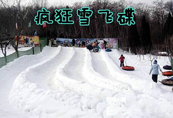 付家庄童话冰雪王国第 4 张图片