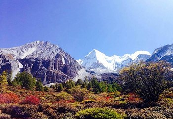 杜鹃谷温泉山庄第 3 张图片